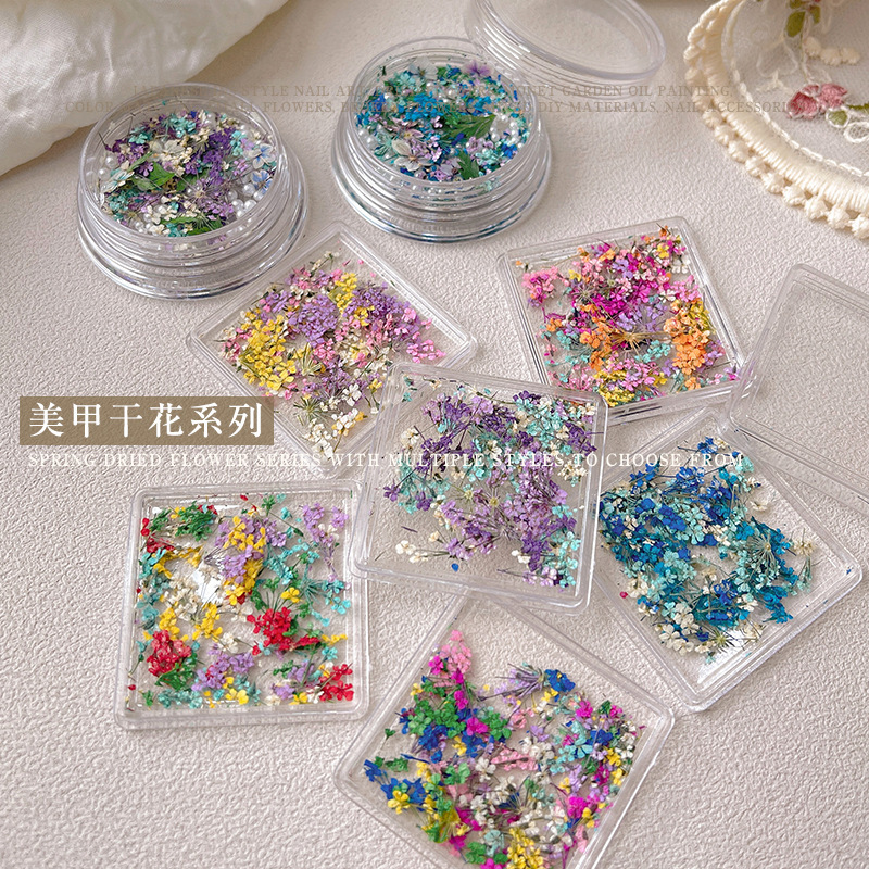 Nail Art Dried Flower Nail Ornaments Monet Garden Oil Painting Petals Japanese Ins Style Small Flowers Floral Mixed DIY Materials Nail Art Dried Flower Nail Ornaments Monet Garden Oil Painting Petals Japanese Ins Style Small Flowers Floral Mixed DIY Materials