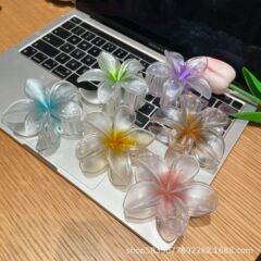 欧米は鏡にまたがって爆発的に本物の立体カラーの卵の花を防ぎます。