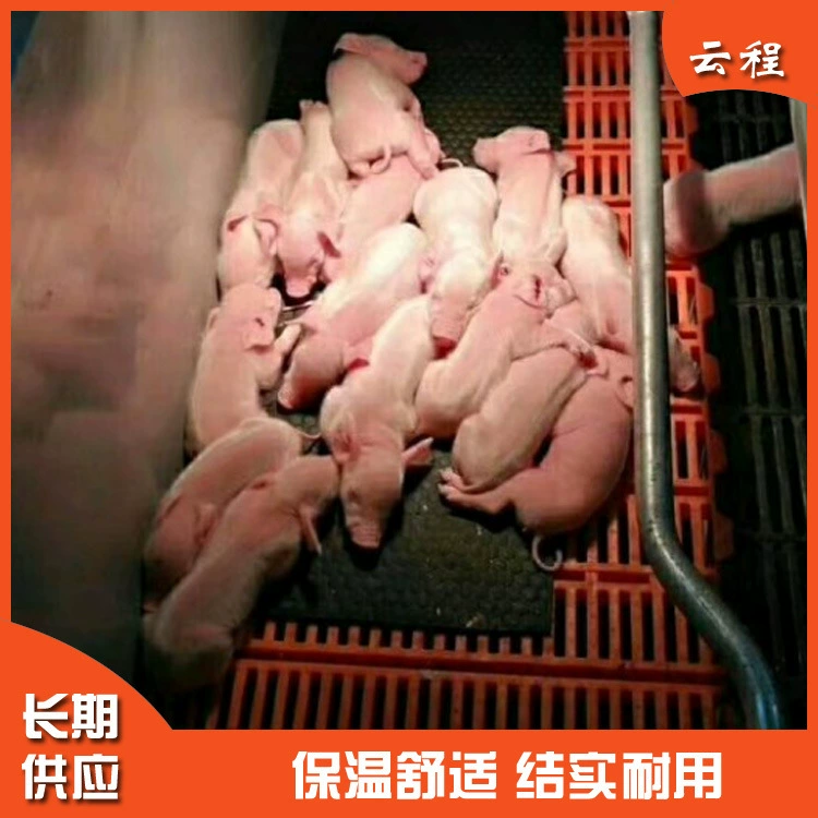 Резиновый противоскользящий коврик Piggy из ПВХ с рисунком черепахи посередине, устойчивый к укусам, прочный и долговечный, Yuncheng в наличии