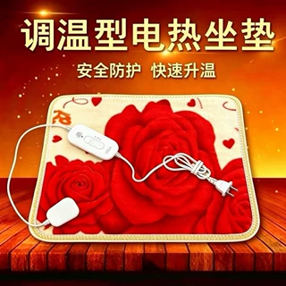 电热坐垫办公室多功能发热坐垫椅垫暖垫家用加热垫孵化专用垫源头