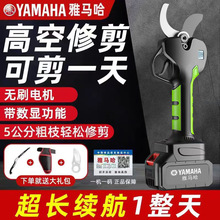 늄Ӽ����늳��ʽ�@�ֹ�����֦��������֦����늼��Ӽ�֦����