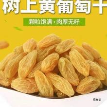 �½������S���Ѹ����ӟo�˟o�ѳ������Ѹ�,��ʳ�ɹ��½��a��ֱ�l