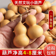 ��Ȼ���J���控���^�ֶ���������СҰ�����J����Ҿӿ͏d�[��