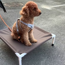 �¿���ļ�������؈����܊������������ҧ��С�͌�����Ʒ؈����