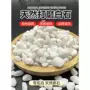 铺路庭院小白景观白石子
