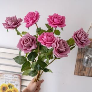 �^�z�ָН�õ����滨�Ҿ��b�c������õ�廨���ٻ�INS�S��