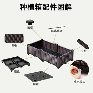��@�L���ϷNֲ���L���λ��莧��ˮ���̨�N�˼Ӻ�