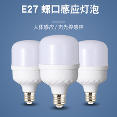 Factory Direct Supply LED Sound and Light Control Sensor Bulb for Basement Garage Emergency Lights Diamond Model Staircase Corridor Passage