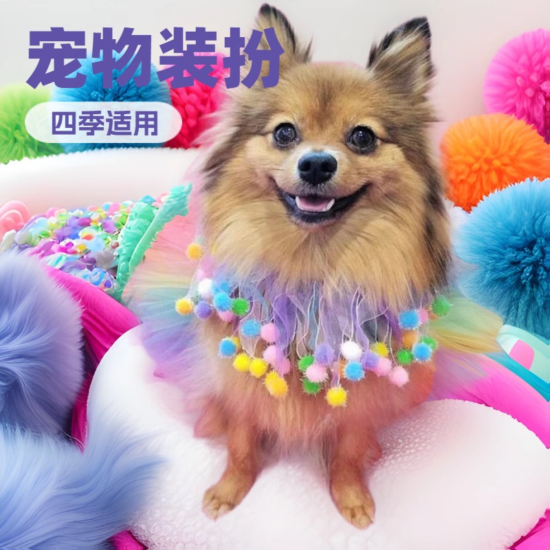 애완견 옷, 고양이 드레스, 펫투, 소형견 의류, 애완용품, 테디, 유럽 및 미국 스타일