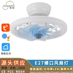 跨境风扇灯跨境吊扇灯现代LED风扇灯卧室餐厅隐形风扇螺口风扇灯