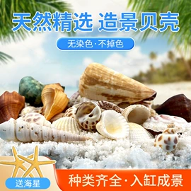 鱼缸;造景/装饰;水族过滤设备