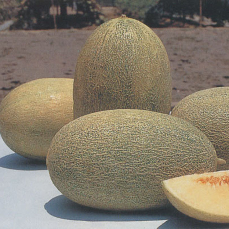 Ҭ���㾫��ľ���㾫�����ܹ��㾫���ȸ����ջ���ˮ���㾫