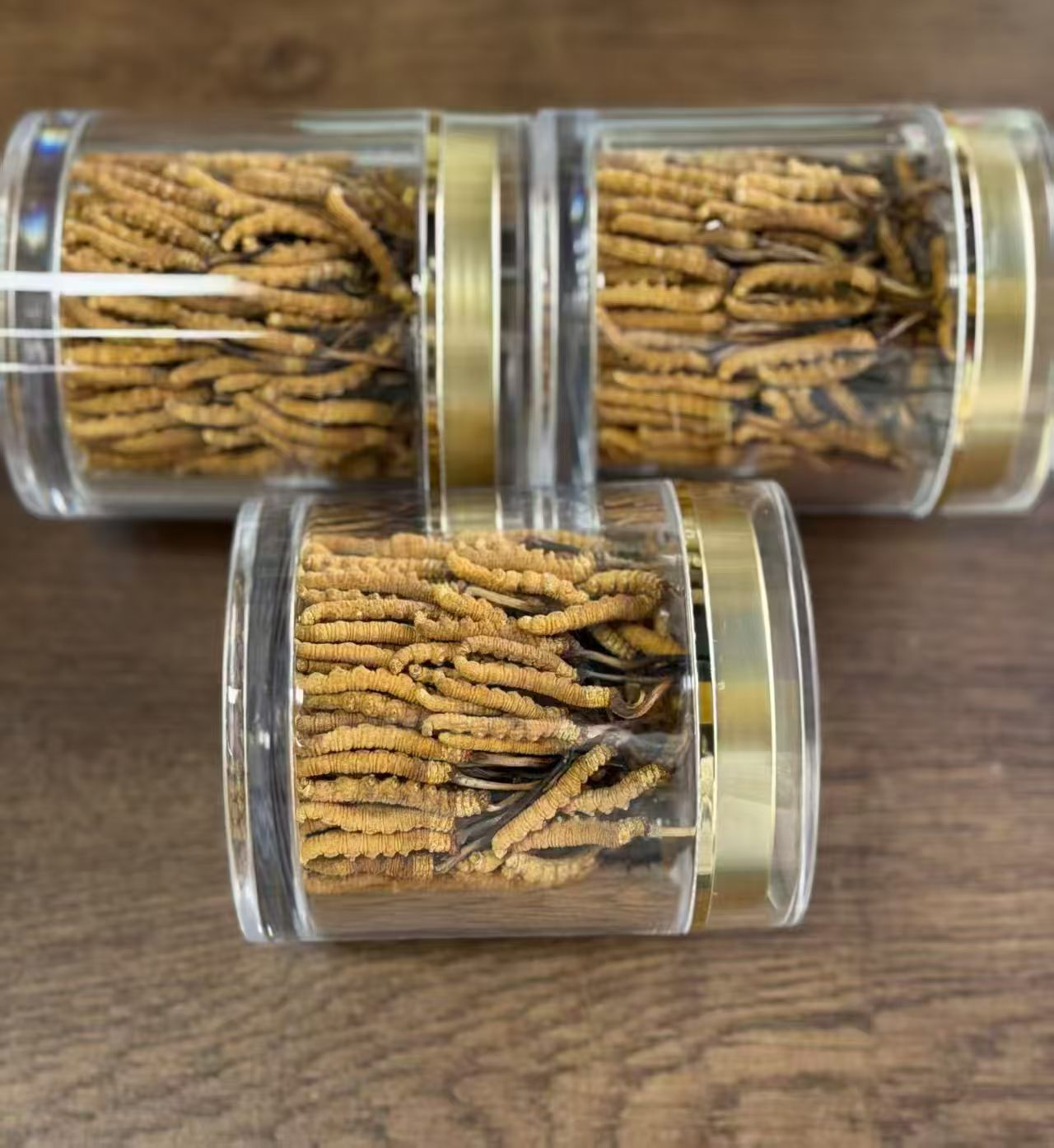 Freeze-Dried Cultivated Cordyceps Dong Chong Xia Cao 1g Pack 3-4 Pieces Culinary Herbal Tonic in use