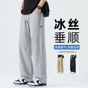 2026�����ļ��¿�W�����\�]�W������ֱͲ�\��ɫ���eѝ�г�PANTS