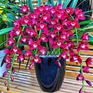 �s�A���F���F�m���罨�m�Ď�����������B�����҃ȾGֲ����