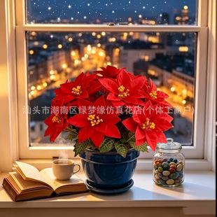 �羳temu�������һƷ�t�}�Q�b����Ҿӱڠt�������ղ��üٻ�