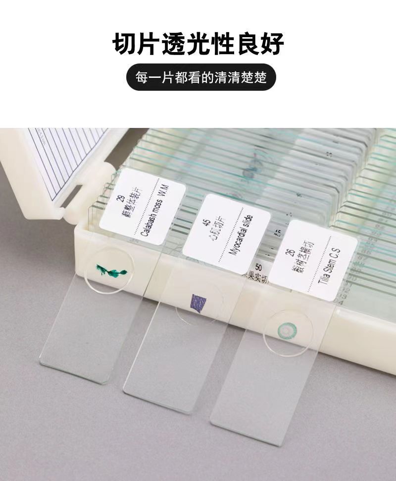 显微镜生物切片儿童学生教学玻璃载玻片实验标本套装动物植物细胞-阿里巴巴
