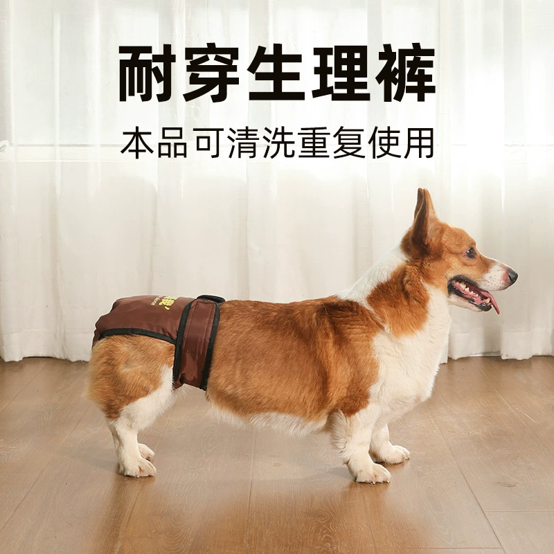 Физиологические трусы для собак, менструальные трусы для крупных собак, гигиенические трусы для собак, защитные трусы для собак