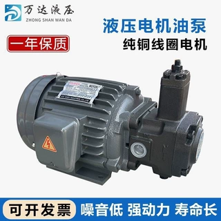 内插式电机油泵组液压电机0.75KW/1.5KW/2.2KW配VP20/VP15/VP30