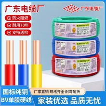 廣東電纜廠BV單股硬線銅芯國標家裝1.5/2.5/4/6平方批發環保阻燃