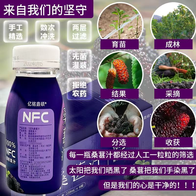 Yiming Ding Shuo 100% Nfc Mulberry Puree, Black Mulberry Original Juice, No Additives, Bottled Wholesale Fresh Juice, Organic 3