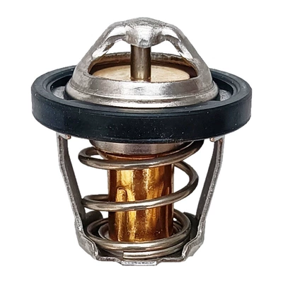 Vehicle Beach Thermostat, Thermostat