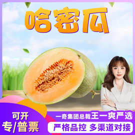 【严选】山东哈密瓜 代发3/9斤新鲜头茬西州蜜冰激凌甜瓜应季水果