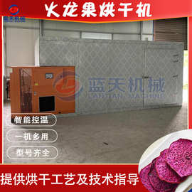 火龙果烘干机 红心火龙果切片烘干房 火龙果片水果干除湿烘干设备