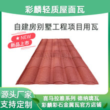 ���m�Ͳ�ʯ���������������B�w��ʯ��830���m���L�߲���Դ�^���S