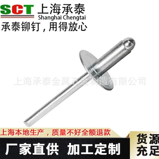 厂家直销10W库存现货批发规格齐全 全铁镀锌大帽铆钉大帽抽芯铆钉