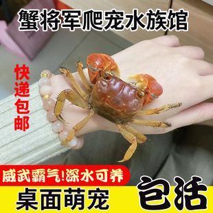 ����з����з����з��܊з�^�pзˮ���坍���嵭ˮ�з���w����