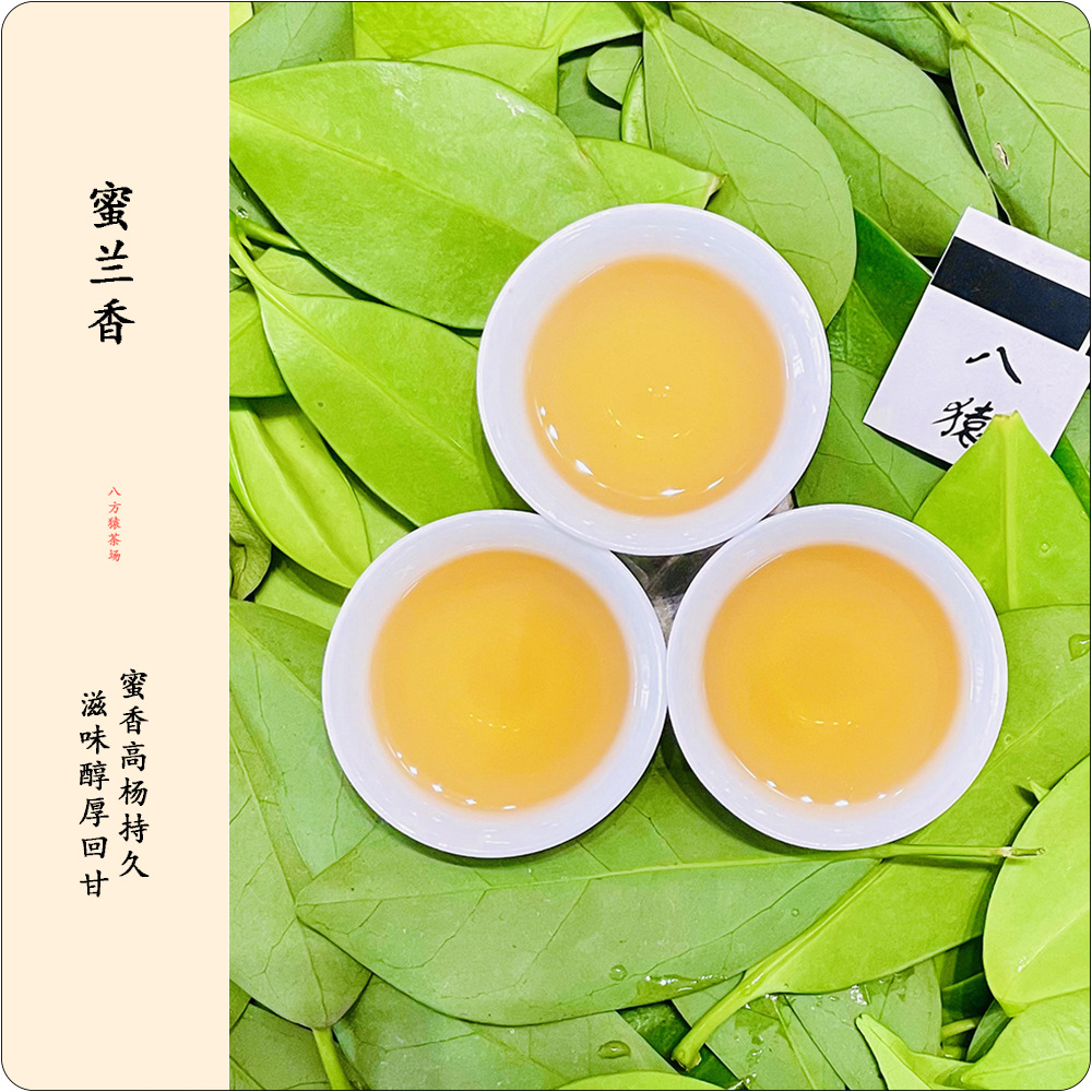 蜜蘭香（半斤裝250g）鳳凰單樅 濃香茶高山新茶葉 烏龍茶單叢茶