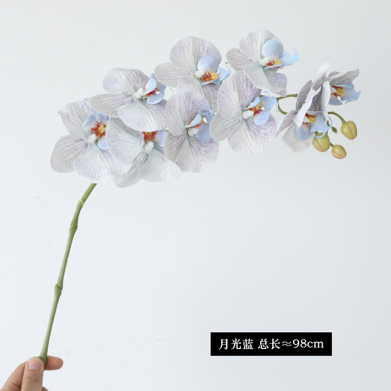 문라이트 블루