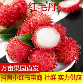 其他水果;桃子;哈密瓜