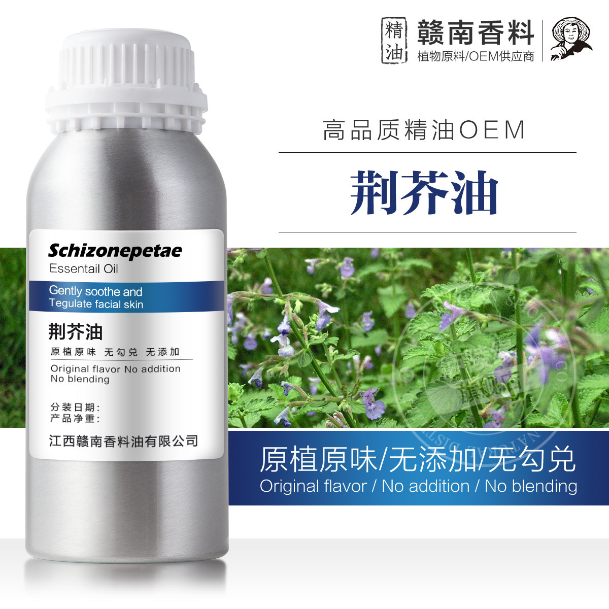 江西特种荆芥油  猫薄荷精油WORMSEES oil按摩刮痧1KG起批
