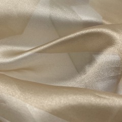 Silky Summer and Autumn Silk-like Water Moon Flowing Draped Women's Fashion Show Gown Hanfu Dress Chiffon Fabric