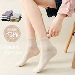 Children's Short Socks Summer Pure Cotton Antimicrobial Deodorant Breathable Thin Black and White 100% Cotton Socks with Low Top Ladies' Boat Socks