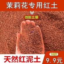 ���������t��΢�������Ի���ֱ���FԪ���S���t���������辰