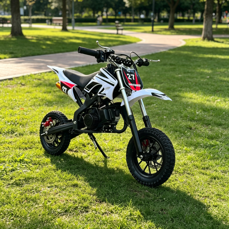 49Cc Two-Stroke Children's Mini High-Performance Two-Wheeled Off-Road Mountain Motorcycle Manufacturer's Supply for Cross-Border E-Commerce