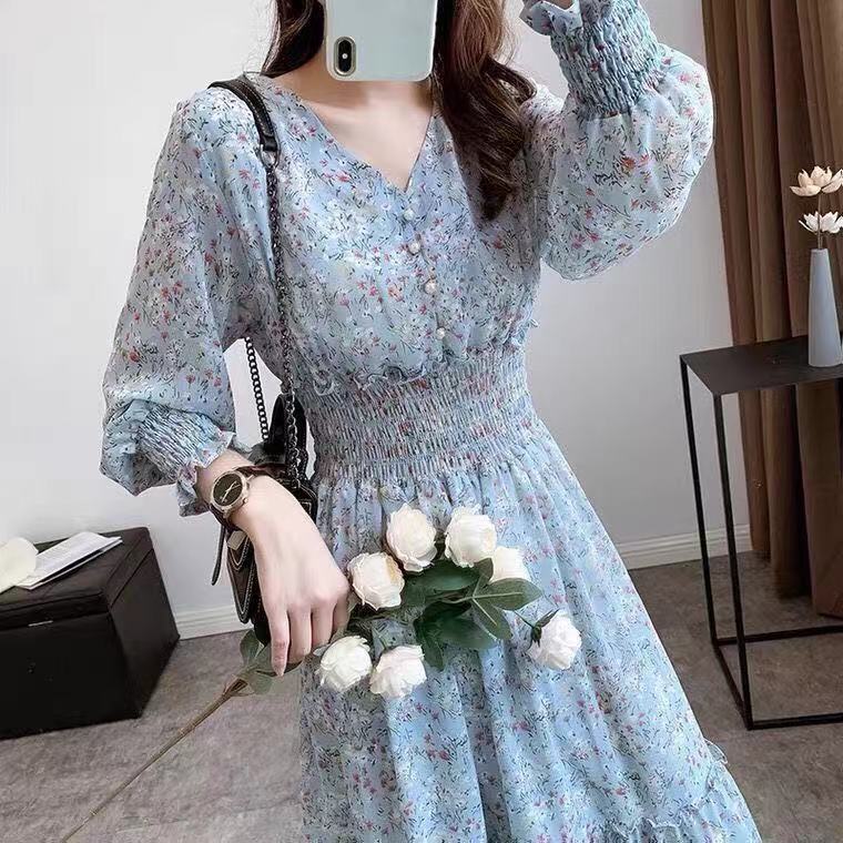 2025 Spring and Autumn Long Sleeve Waist-Cinching High-Waist Korean Style V-Neck Floral Chiffon Long Dress Slimming