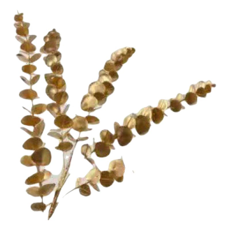 Падуб эвкалипт длинная ветка рождественские фрукты искусственный цветок ягода красные фрукты богатые фрукты гостиная Акация бобы украшения