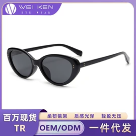 太阳镜;框架眼镜;眼镜片