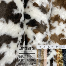 �F؛����º���ë����ӡ����ëƤ¹�y��ţ�y����