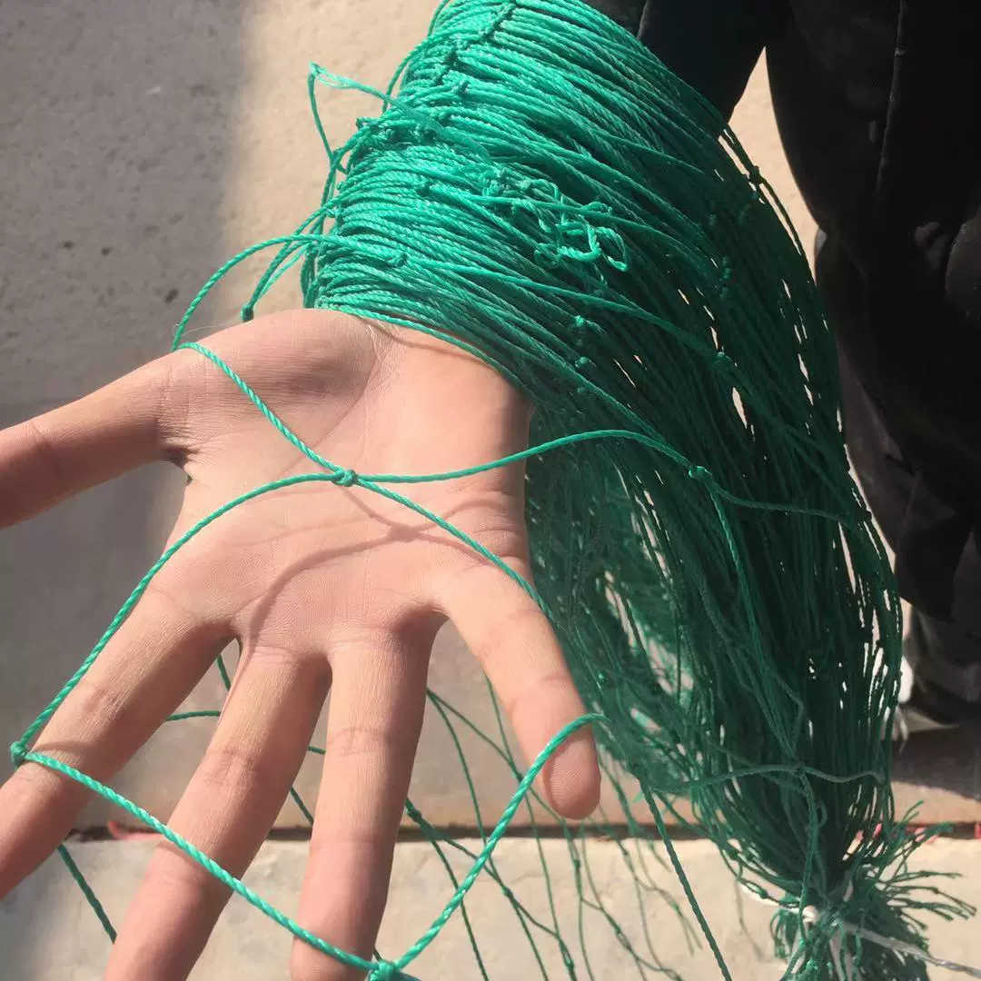 Садовая сетка для винограда, огурца, растение, рамка для лазания, сетка из армированного нейлона, сетка для лазания Morning Glory, бытовая сетка