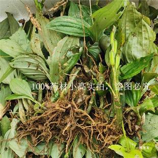 �����������r���~�� ҊѪ�� ���~�����ٽ𾀵����J��؛��؛��؛��