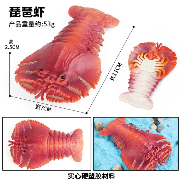 M-2552 Pipa Shrimp