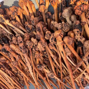 �羳���lľ�|���������ô��Nɽ��ľ�����N��Ϻڹ�ľ�ô�Ħ�N