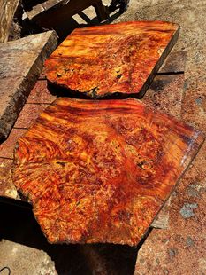 ��Ʒ�| �t��ɼ ������� ���M�������y �tľ��ˇƷ ��ľ��� ԭľ