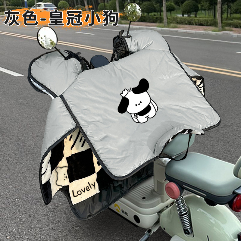 그레이 크라운 강아지