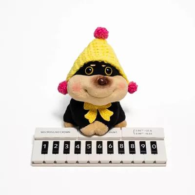 Bee Dog Girl Temporary Number Nömrəli dayanma kartı - the-yellow-pattern-and-yellow-hat-are-conspicuous-piano-brand